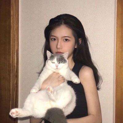 黏黏猫咖啡馆游戏下载